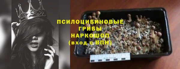 дмт Надым