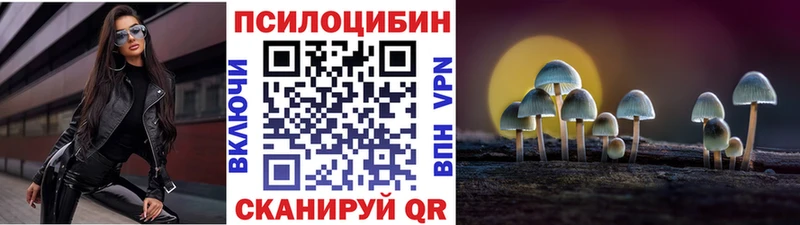 Псилоцибиновые грибы MAGIC MUSHROOMS  наркота  Мышкин 